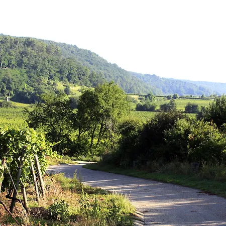 Porta Vinea Ruppertsberg