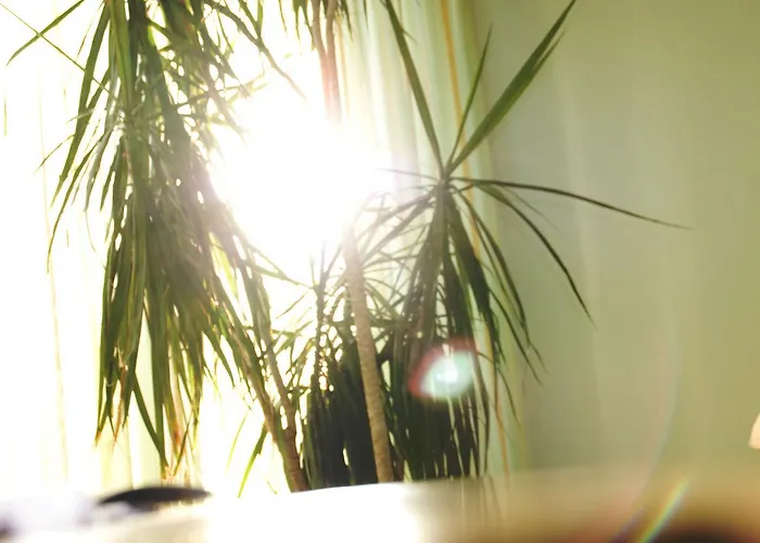 Porta Vinea 3* Ruppertsberg